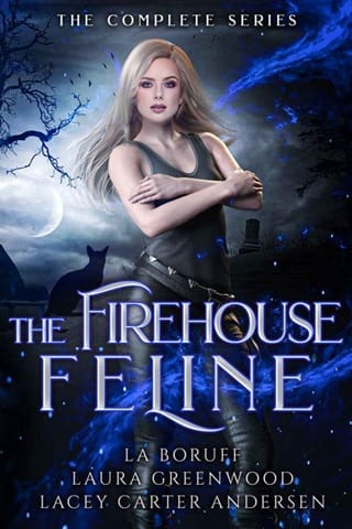 The Firehouse Feline: The Complete Series by L.A. Boruff