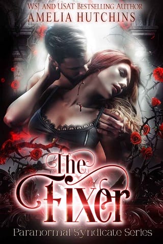The Fixer by Amelia Hutchins