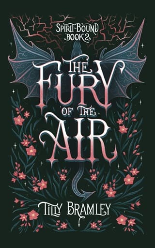 The Fury of the Air by Tilly Bramley