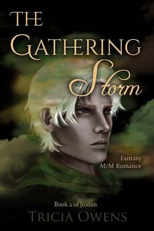 The Gathering Storm by Tricia Owens