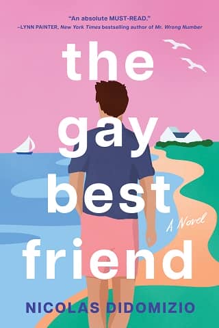 The Gay Best Friend by Nicolas DiDomizio