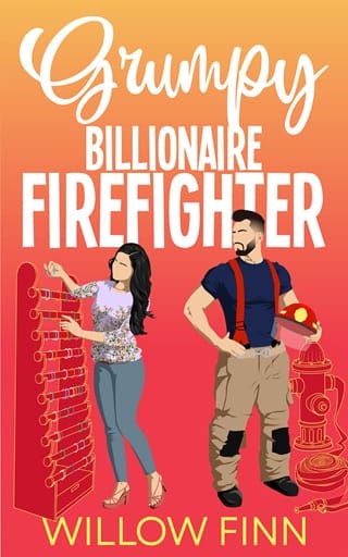 The Grumpy Billionaire Delaneys Collection by Willow Finn