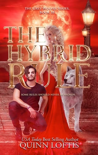 The Hybrid Rule by Quinn Loftis