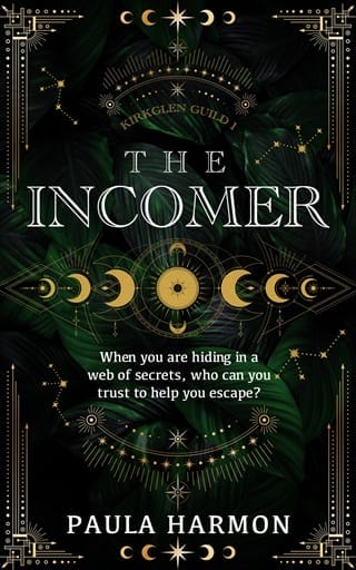 The Incomer by Paula Harmon