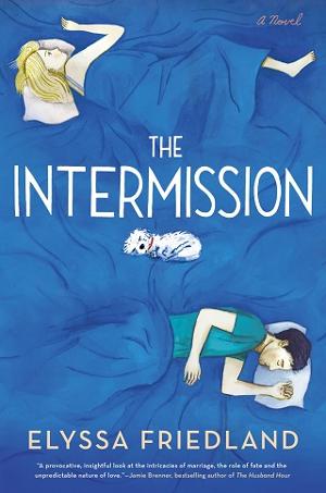 The Intermission by Elyssa Friedland