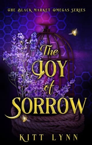 The Joy of Sorrow by Kitt Lynn