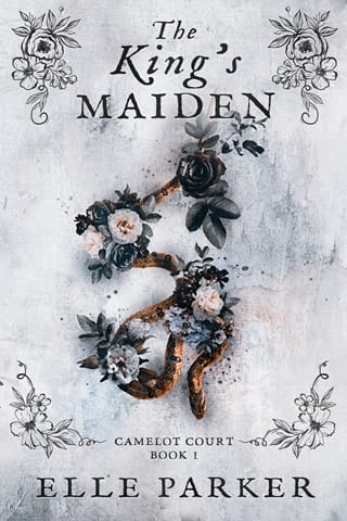 The King’s Maiden by Elle Parker