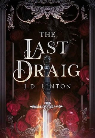 The Last Draig by JD Linton