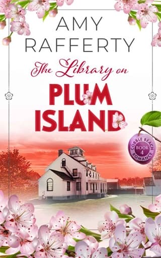 The Library on Plum Island by Amy Rafferty