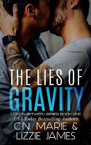 The Lies of Gravity by C.N. Marie