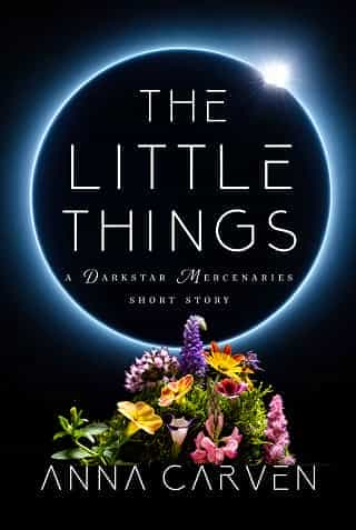 The Little Things by Anna Carven