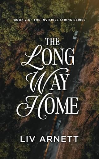 The Long Way Home by Liv Arnett
