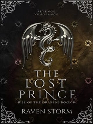 The Lost Prince by Raven Storm