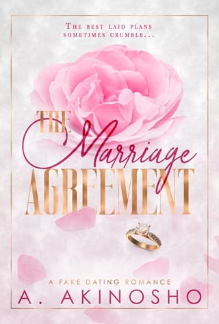 The Marriage Agreement (Agreement) by A Akinosho