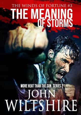 The Meaning of Storms by John Wiltshire