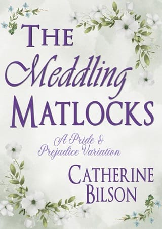 The Meddling Matlocks by Catherine Bilson