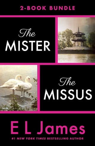 The Mister & The Missus: 2-Book Bundle by E.L. James