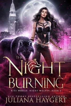 The Night Burning by Juliana Haygert