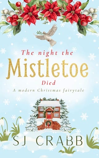 The Night the Mistletoe Died by S J Crabb