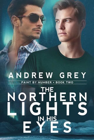 The Northern Lights in His Eyes by Andrew Grey