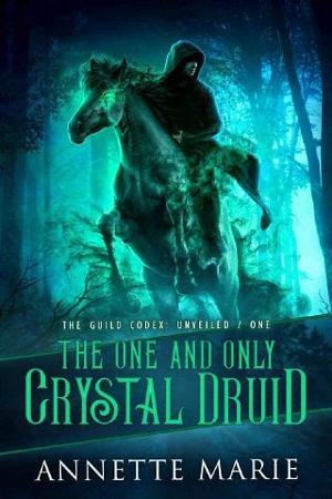The One and Only Crystal Druid by Annette Marie