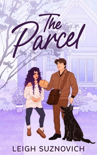 The Parcel by Leigh Suznovich