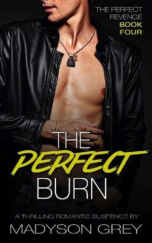 The Perfect Burn by Madyson Grey
