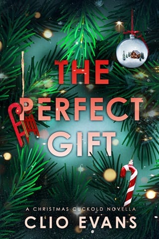 The Perfect Gift by Clio Evans