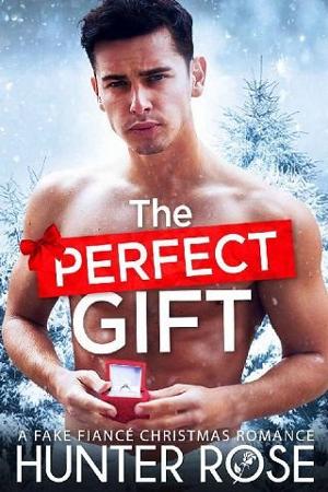 The Perfect Gift by Hunter Rose