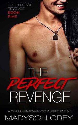 The Perfect Revenge by Madyson Grey