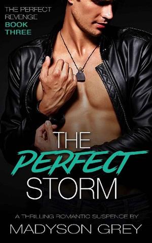 The Perfect Storm by Madyson Grey