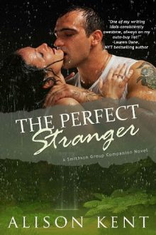 The Perfect Stranger by Alison Kent