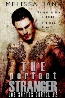 The Perfect Stranger by Melissa Jane