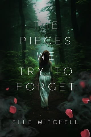 The Pieces We Try to Forget by Elle Mitchell