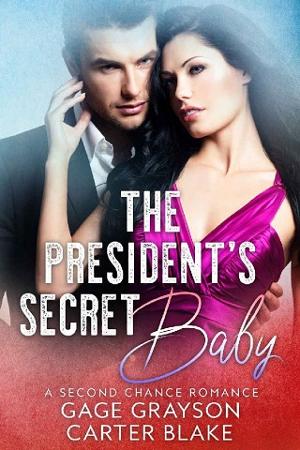 The President’s Secret Baby by Carter Blake