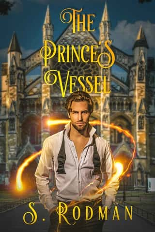 The Prince’s Vessel by S. Rodman