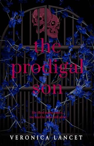 The Prodigal Son by Veronica Lancet