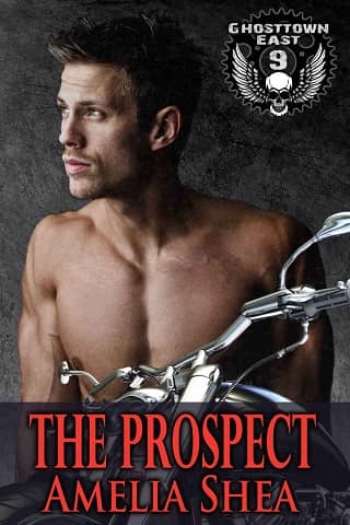 The Prospect by Amelia Shea