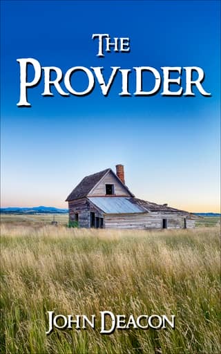 The Provider 1 by John Deacon