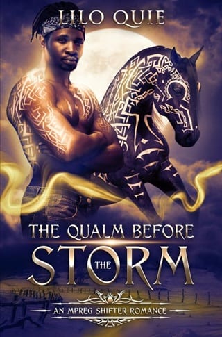 The Qualm Before the Storm by Lilo Quie