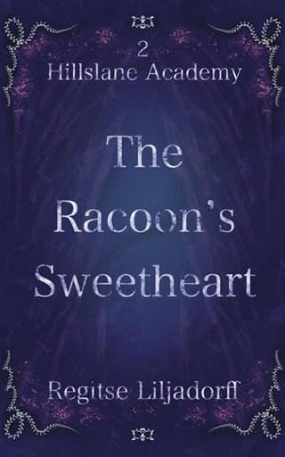 The Racoon’s Sweetheart by Regitse Liljadorff