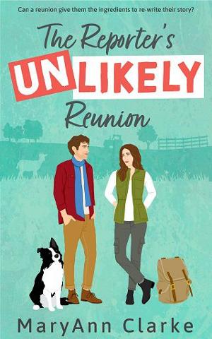 The Reporter’s Unlikely Reunion by MaryAnn Clarke