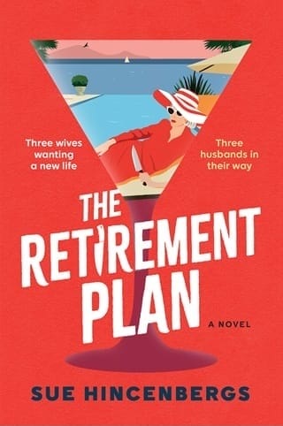 The Retirement Plan by Sue Hincenbergs