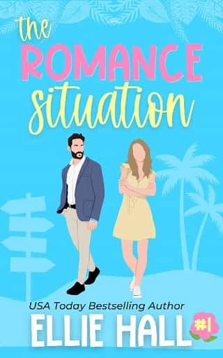 The Romance Situation by Ellie Hall