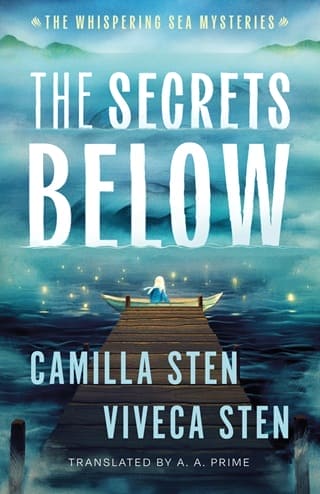 The Secrets Below by Camilla Sten