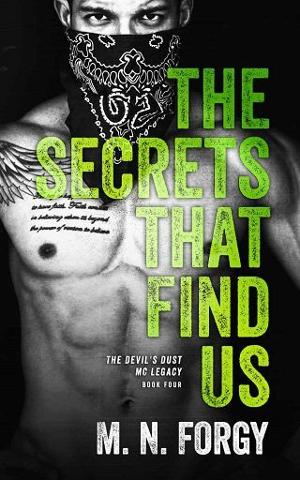 The Secrets That Find Us by M.N. Forgy