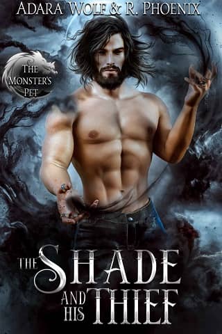 The Shade and His Thief by Adara Wolf
