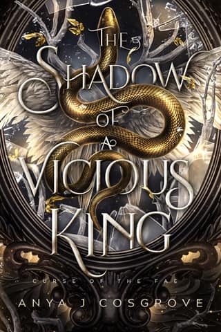 The Shadow of a Vicious King by Anya J Cosgrove