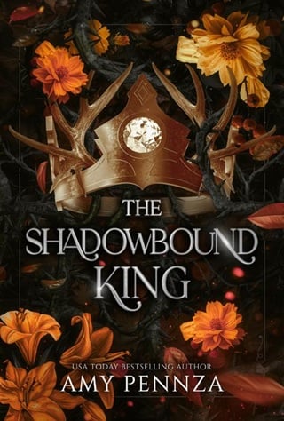 The Shadowbound King by Amy Pennza