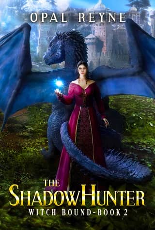 The ShadowHunter by Opal Reyne